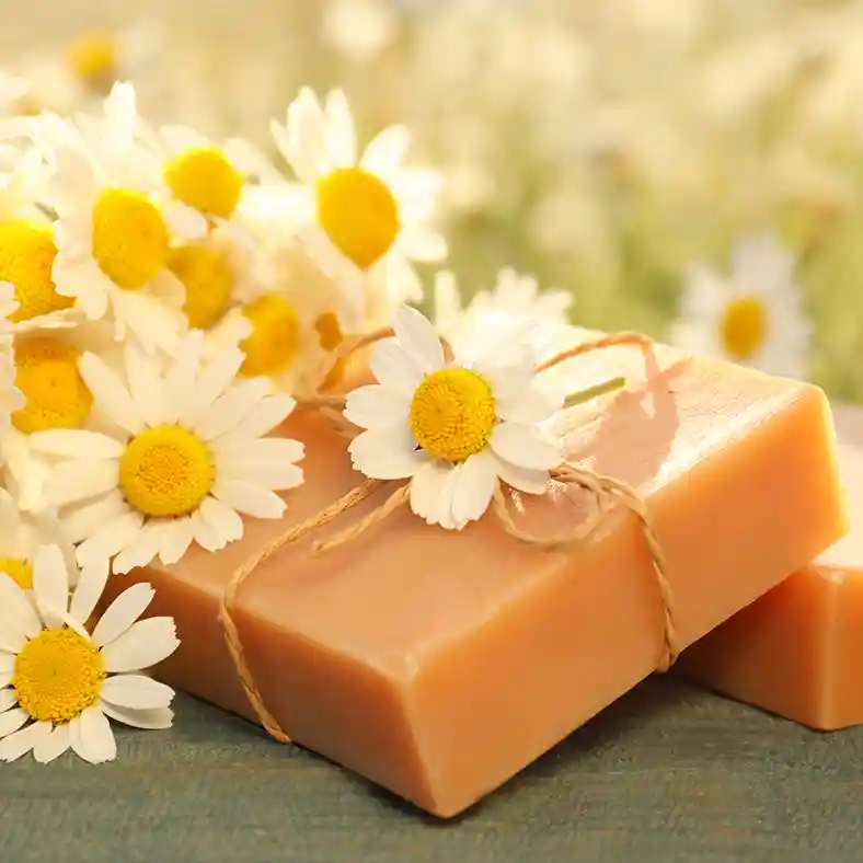 Brown soap bars under a bouquet of white daisies