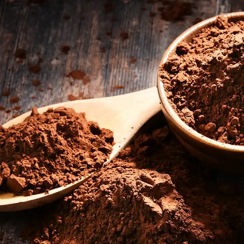 Cocoa Powder in a bowl