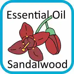 Icon Contains Essential Oils Sandalwood