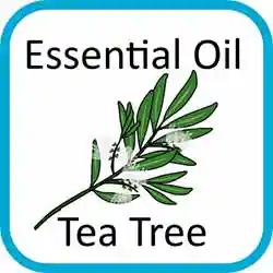 Icon Contains Essential Oils Tea Tree