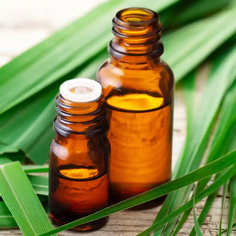 Lemongrass surrounding amber glass bottles