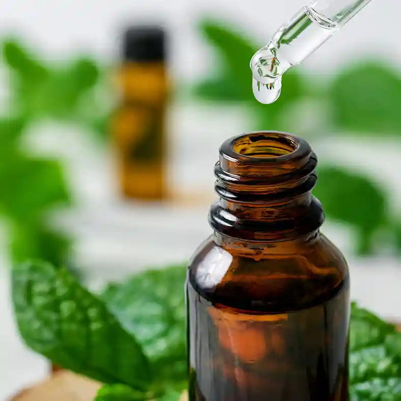 Peppermint leaves around amber glass bottle with dropper