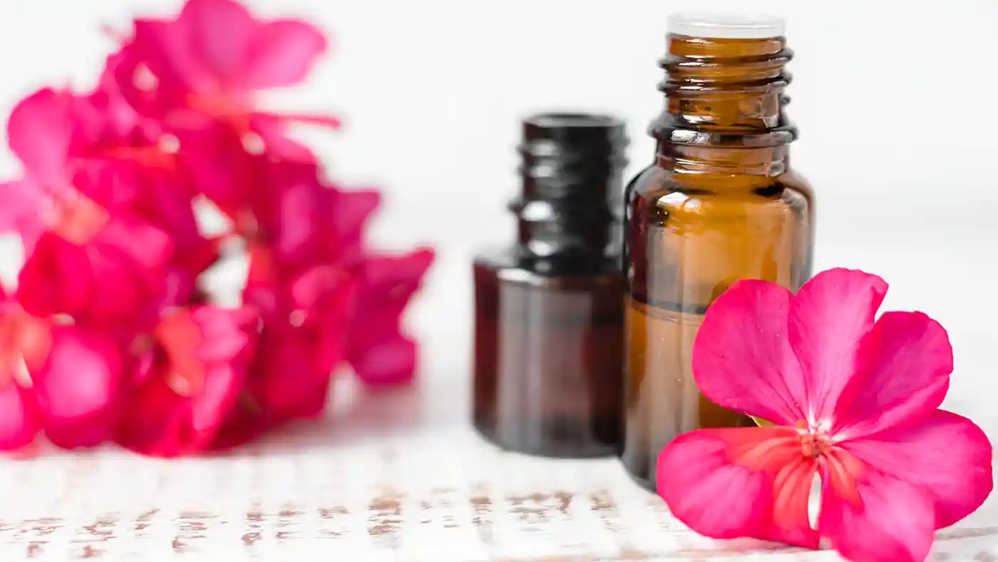 Rose Geranium flowers in front of small amber glass bottles