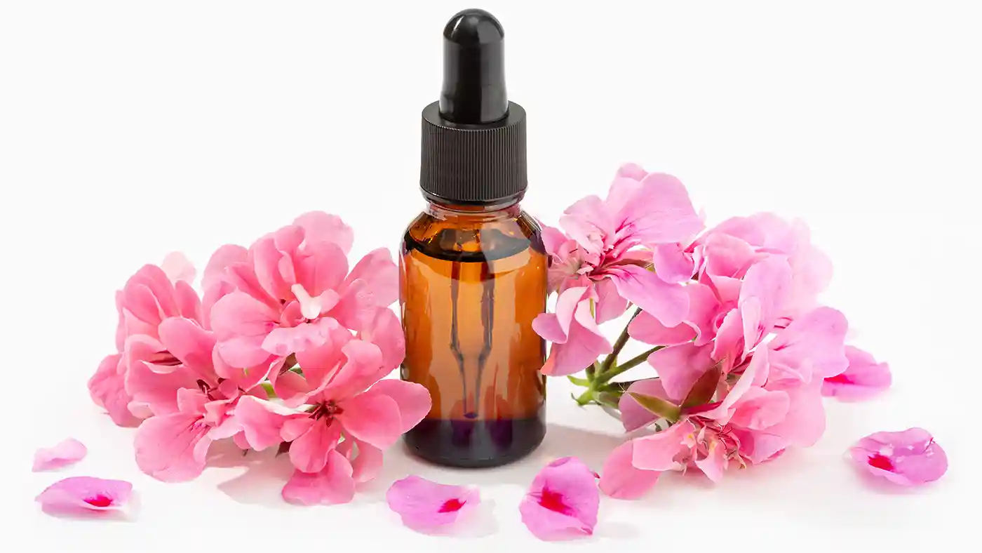 Rose Geranium flowers surrounding a single amber bottle