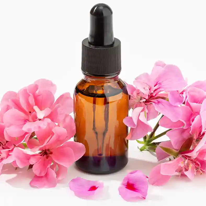 Rose Geranium flowers surrounding a single amber glass bottle