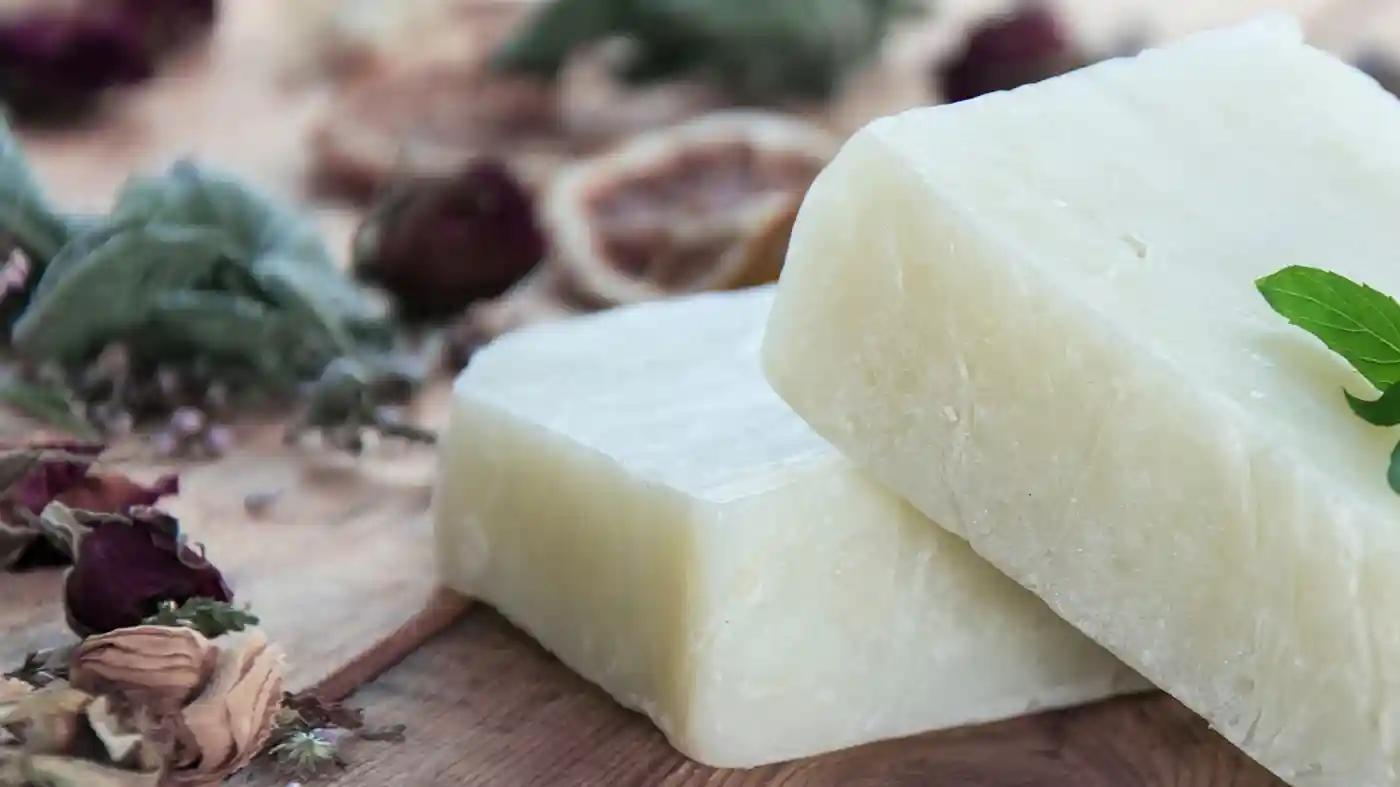 White soap and dried citrus